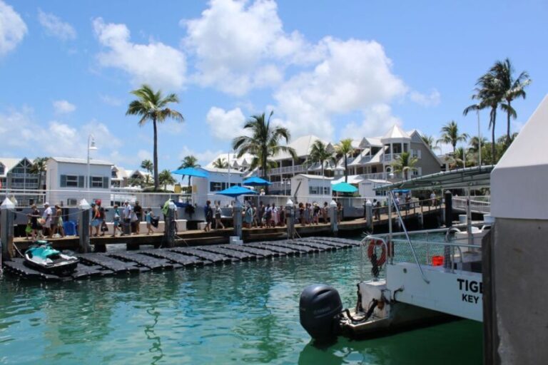 Miami: Key West Boat Tour w/ Optional Snorkeling & Open Bar - An In-Depth Look at the Tour Experience