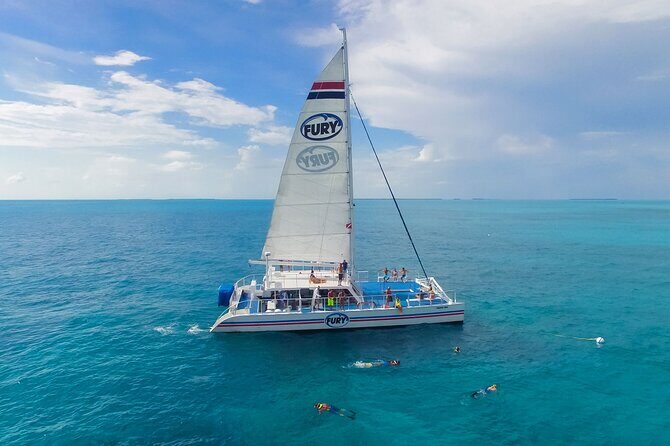 MIAMI: Key West Dolphin Watch Tour and other options - Who Should Consider This Tour?