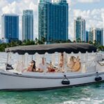 Miami: Luxury E-Boat Cruise with Wine and Charcuterie Board - Practical Details & Tips