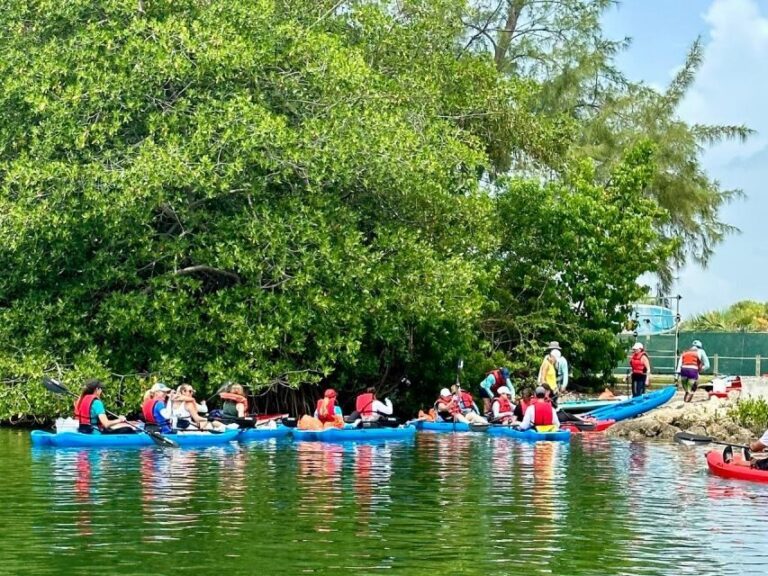 Miami: Manatee Season Paddleboard or Kayak Tour - The Guides Make the Difference