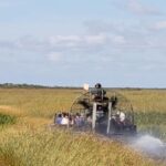 Miami: Original Everglades Airboat Tour & Alligator Exhibit - Wildlife Encounters and Exhibits