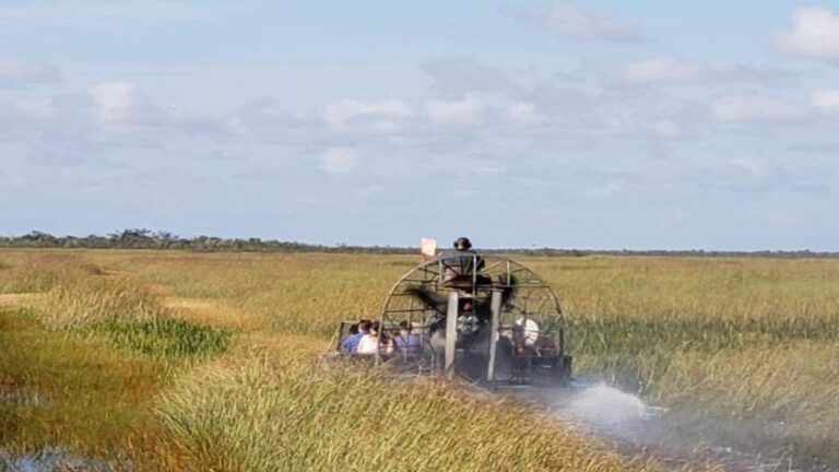 Miami: Original Everglades Airboat Tour & Alligator Exhibit - Wildlife Encounters and Exhibits