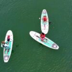 Miami: Paddle Board or Kayak Rental in Virginia Key - Who Will Love This Experience