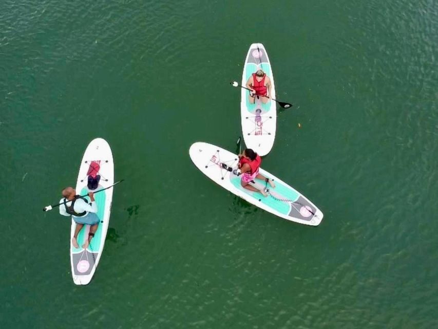 Miami: Paddle Board or Kayak Rental in Virginia Key - Who Will Love This Experience