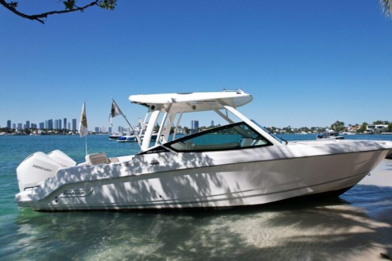 Miami: Private Star island, Miami Skyline & Miami River Tour - Who Should Consider This Tour?