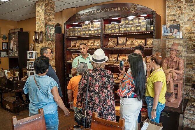 Miami Sightseeing and walking tour: Top Sights & Hidden Gems - Authentic Experiences and Highlights from Reviewers