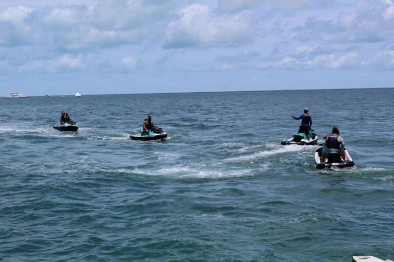 Miami to Key West Shuttle: Dolphin, Snorkeling & More - Water Activities and Excursions