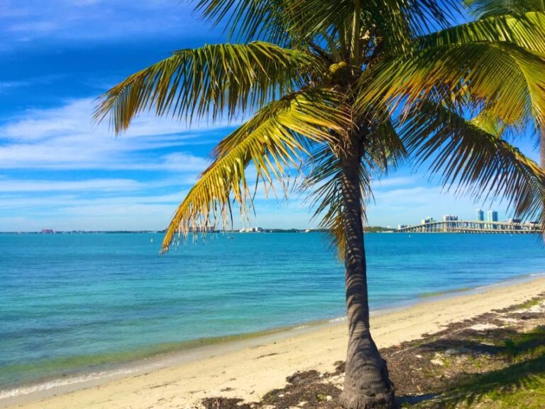 Miami: Windsurfing for Beginners and Experts - Breaking Down the Experience