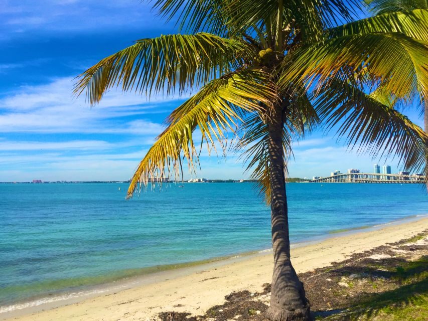 Miami: Windsurfing for Beginners and Experts - Breaking Down the Experience