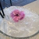 Midtown Atlanta Boozy Brunch Tour - Who Will Love This Tour?