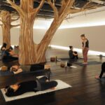Midwest Multi-city Gym Pass - How the Experience Works