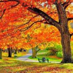 Milwaukee Day Tour from Chicago w/Optional Foliage Season Upgrade - What to Expect from This Milwaukee Day Tour