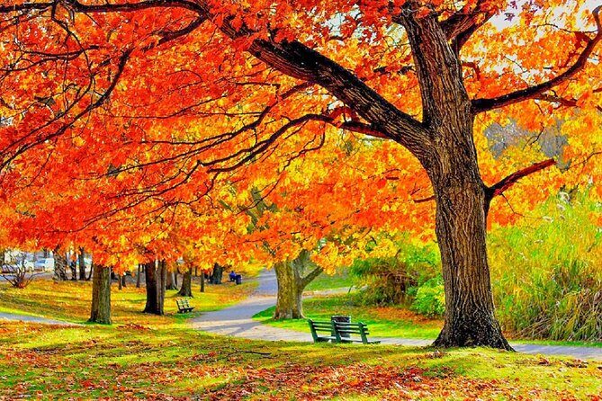Milwaukee Day Tour from Chicago w/Optional Foliage Season Upgrade - What to Expect from This Milwaukee Day Tour