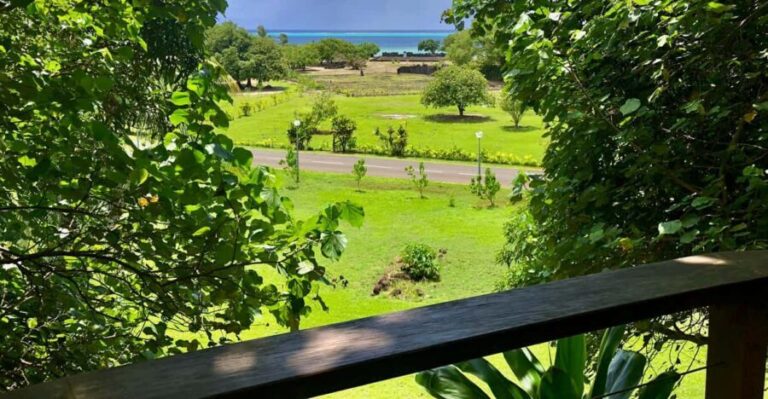 Mirimiri Tours: Visits, Surprises, Swimming and Sunset - Who Is This Tour Best For?