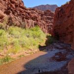 Moab's Slot Canyon Hike: Refreshingly Cool Summer Creek Adventure - The Sum Up