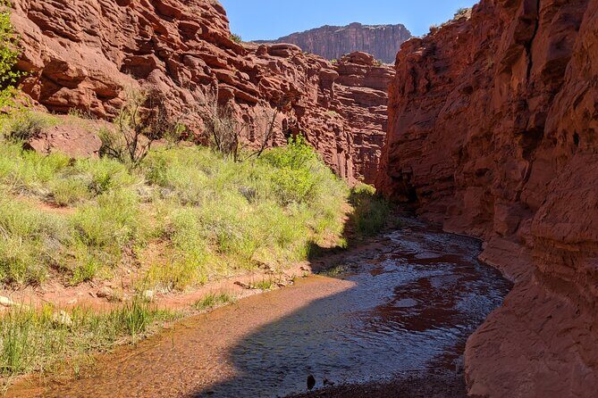 Moab's Slot Canyon Hike: Refreshingly Cool Summer Creek Adventure - The Sum Up