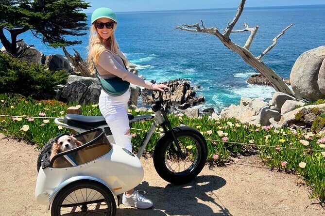 Monterey Bay Famous Dog Friendly Electric Bike and Sidecar Tour - Practical Details: What to Expect and Why It Matters