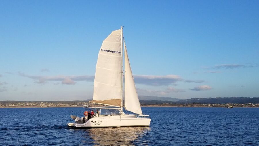 Monterey: Catamaran Sailing Cruise - A Detailed Look at the Monterey Catamaran Sailing Tour
