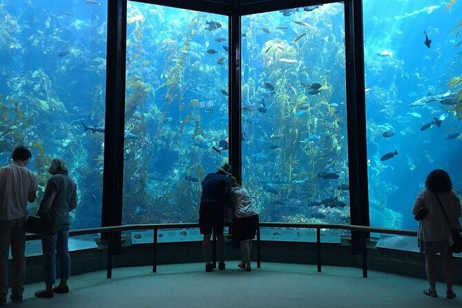 Monterey: Ocean Paradise, Trolley and Walking Tour - The Practicalities