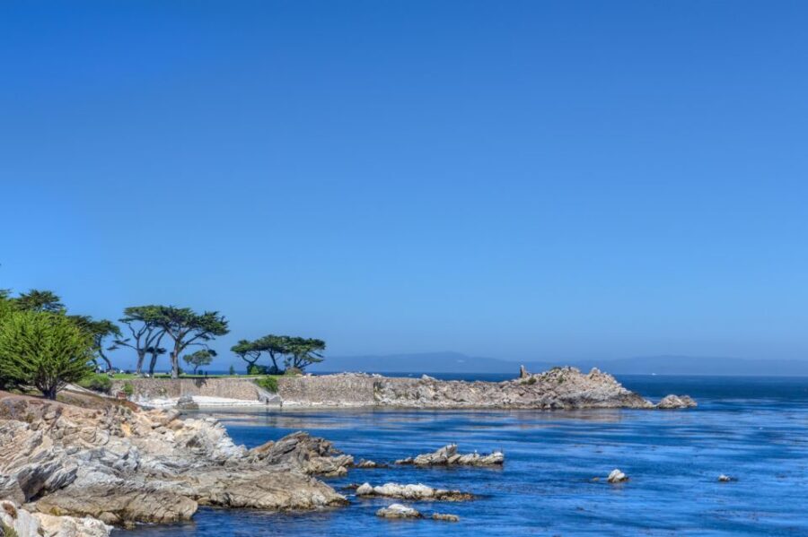 Monterey Peninsula Sightseeing Tour including 17 Mile Drive - What to Expect from the Tour