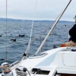 Monterey: Private Whale Watching/Sailing Tour for 6 - Final Thoughts