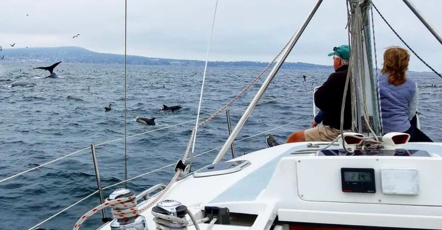 Monterey: Private Whale Watching/Sailing Tour for 6 - Final Thoughts