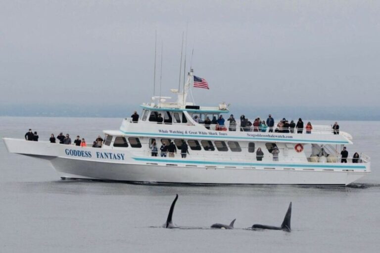 Monterey: Whale Watching Cruise - Practical Details: What to Expect
