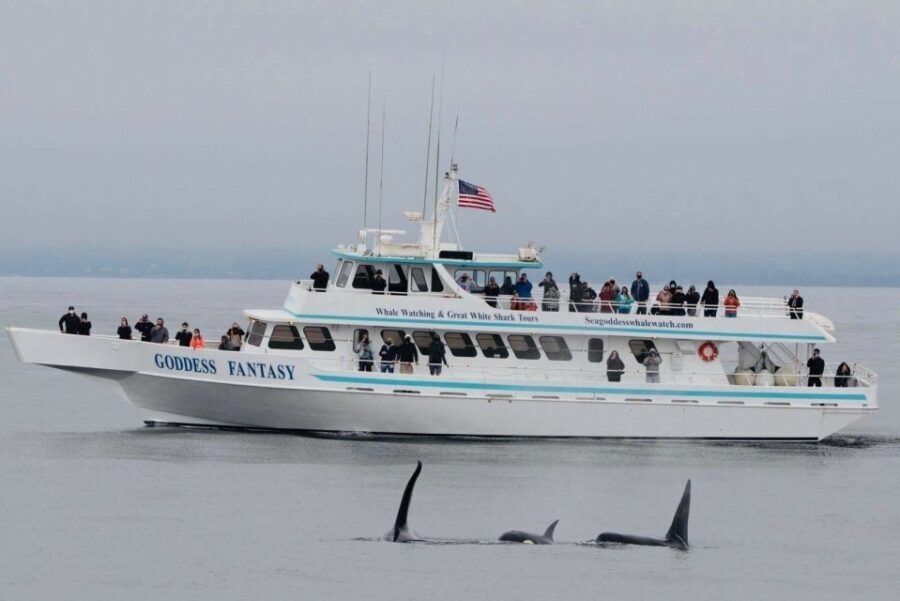 Monterey: Whale Watching Cruise - Practical Details: What to Expect