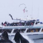Monterey: Whale Watching Tour with A Marine Guide - Who is This Tour Perfect For?