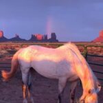 Monument Valley: Horseback Adventure Tour - A Closer Look at the Experience
