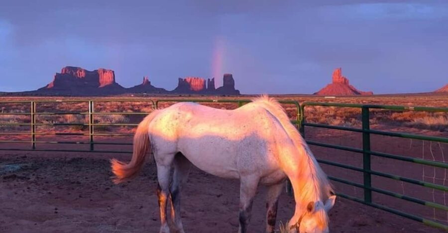Monument Valley: Horseback Adventure Tour - A Closer Look at the Experience