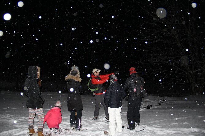 Moonlight Cabin Snowshoe Tour - Who Will Love This Tour?