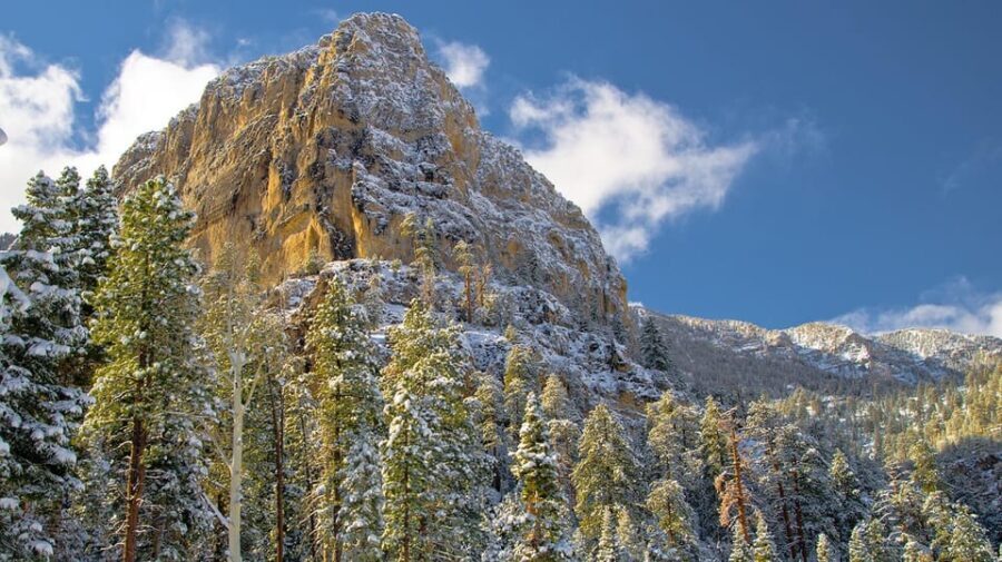 Mount Charleston Driving Adventure: Escape to Nature - What’s Included and What to Pack