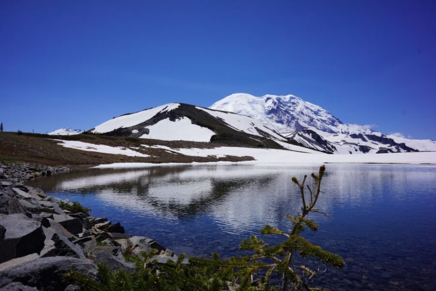 Mount Rainier: Day Hike on the Mountain - Why This Tour Delivers Great Value