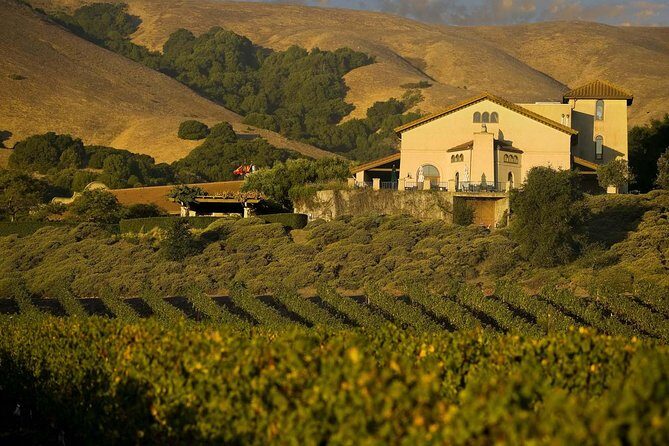 Muir Woods & Napa-8hr-Private Scenic Wine Tour From San Francisco - Wine Tasting in Sonoma and Napa