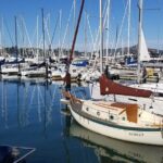Muir Woods, Sausalito, Marin Headlands, Lighthouse Private Tour - Price and Value Analysis