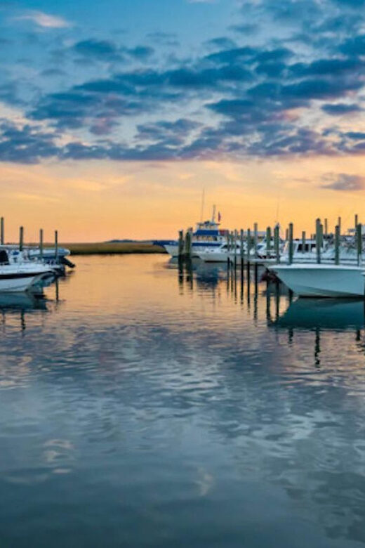 Murrells Inlet: Sunset Sealife Cruise - An In-Depth Look at the Murrells Inlet Sunset Sealife Cruise