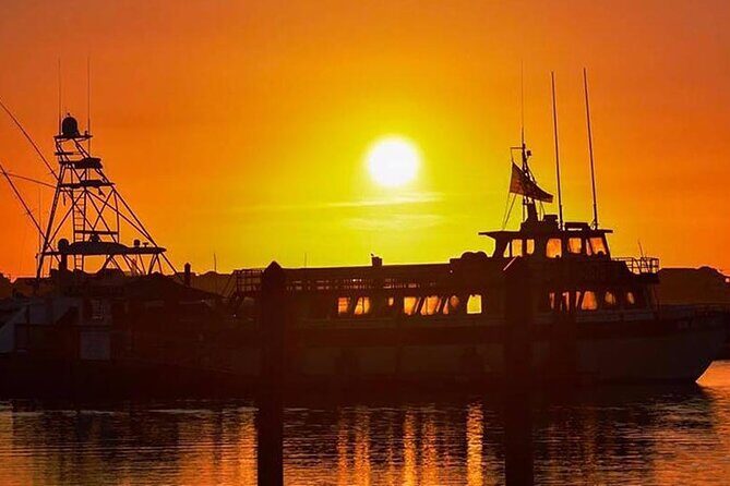 Myrtle Beach Sunset Dolphin Cruise Experience in Murrells Inlet - Who Should Consider This Tour?