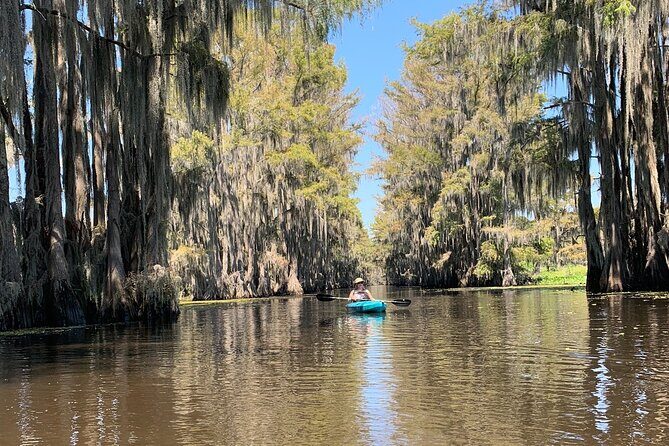 Mystical Private Kayak and Canoe Tours on Caddo Lake - The Experience: What Makes It Special
