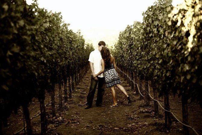 Napa and Sonoma Limo - Who Is This Tour Perfect For?