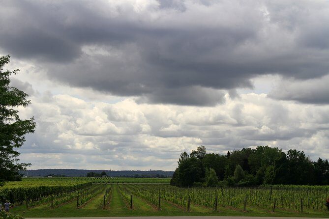 Napa & Sonoma Wine Tour Private Tours 8 to 10 Hours max 14 pax - The Sum Up