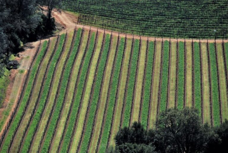 Napa Valley: Airplane Napa Valley Tour - The Value of the Experience