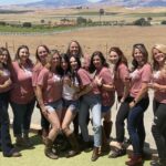 Napa Valley: All-Inclusive Private Full-Day Wine Tour - The Value of This Tour
