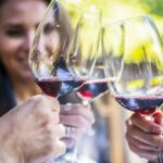 Napa Valley: Guided Wine Tour with Picnic Lunch - Who Will Love This Tour?