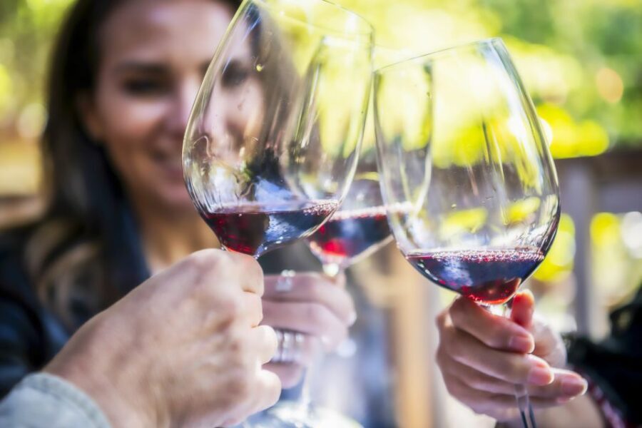 Napa Valley: Guided Wine Tour with Picnic Lunch - Who Will Love This Tour?