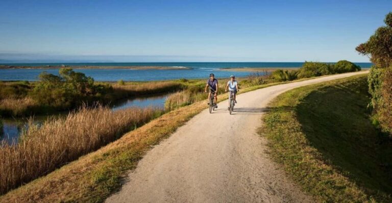 Napier: Cape Coast Winery Tour on Pedal or E-Bikes - Who Will Love This Tour?