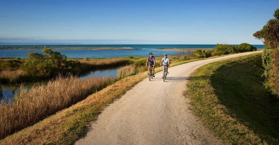 Napier: Cape Coast Winery Tour on Pedal or E-Bikes - Who Will Love This Tour?