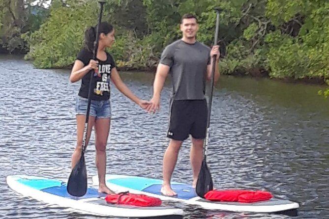 Naples Fl, Paddleboard Mangrove Forest Tour - The Experience on the Water: Itinerary Breakdown