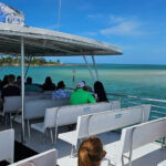 Naples: Sightseeing Day Cruise on the Gulf of Mexico - The Itinerary Breakdown