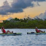 National Park Pedal Kayak Tours in New Smyrna Beach - The Itinerary: What You Can Expect